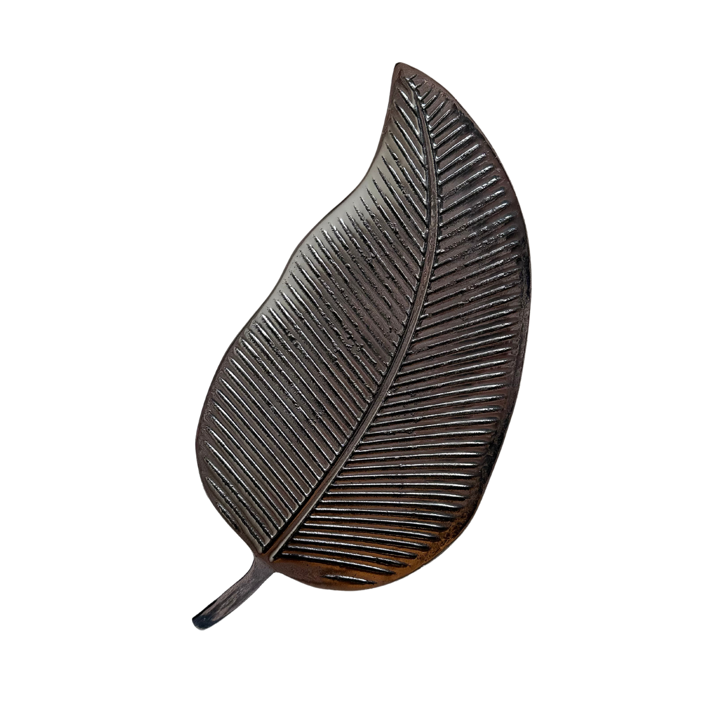 Hoja aristada Peltre - Decopeltre