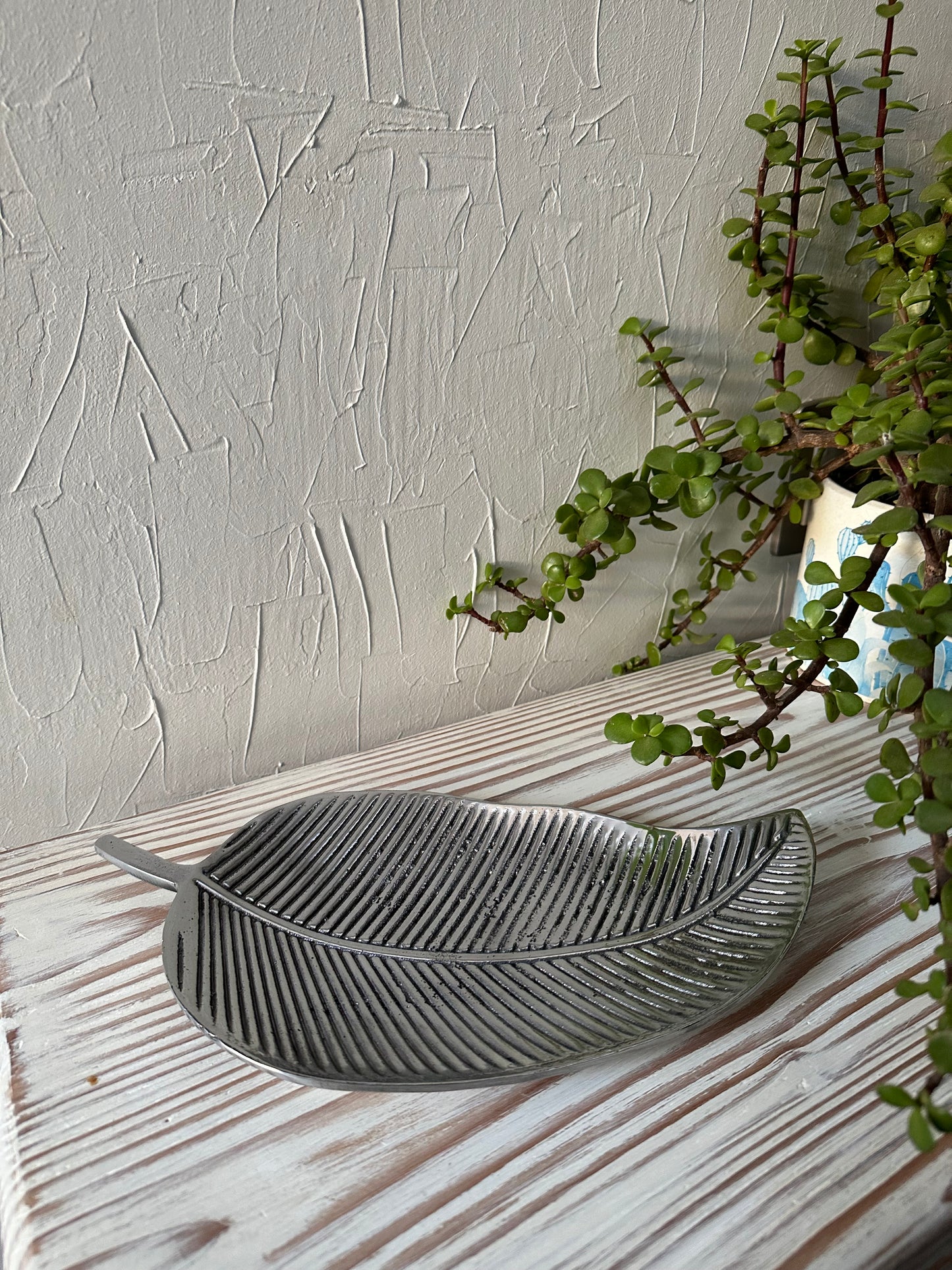 Hoja aristada Peltre