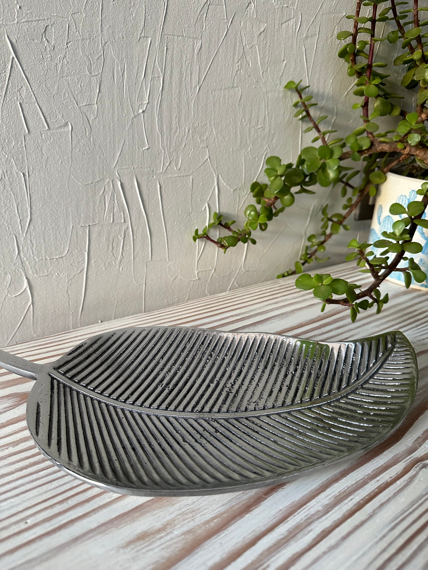 Hoja aristada Peltre